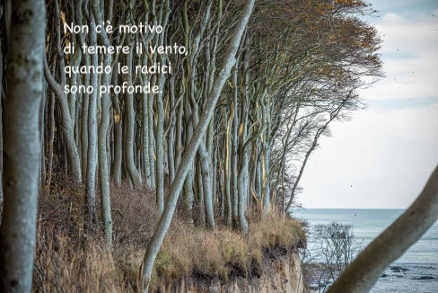 in ascolto del cuore
