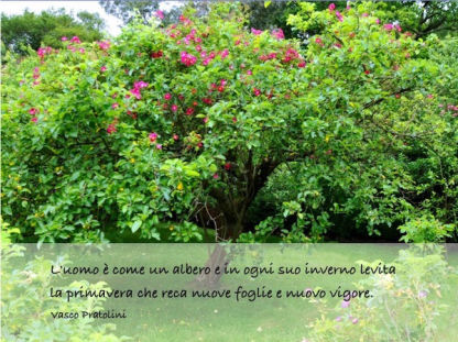 in ascolto del cuore