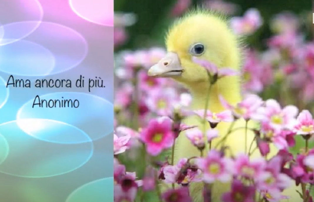 in ascolto del cuore