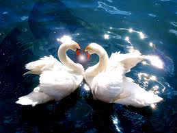 in ascolto del cuore