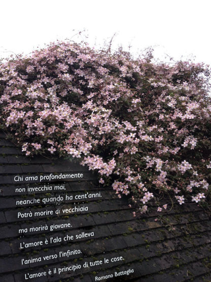 in ascolto del cuore