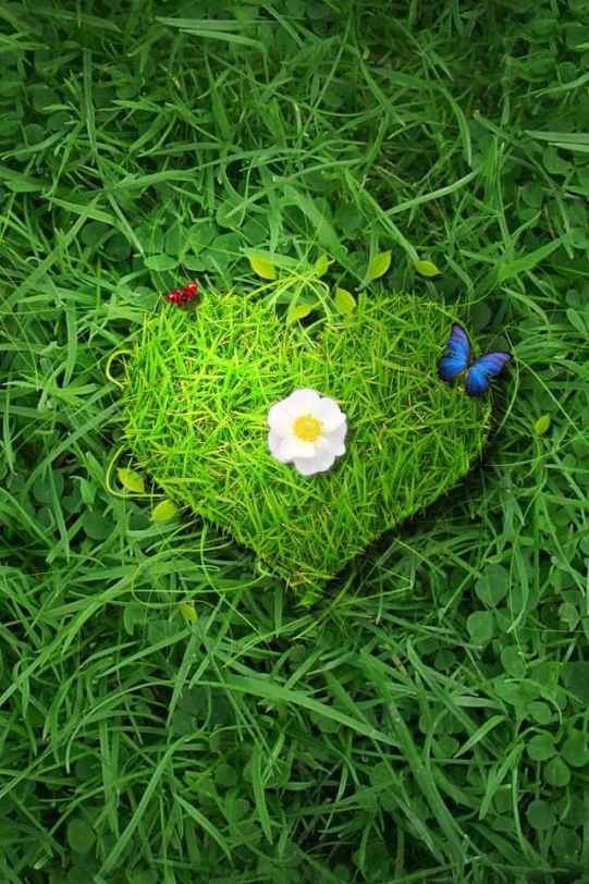 in ascolto del cuore