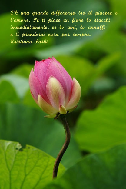 in ascolto del cuore
