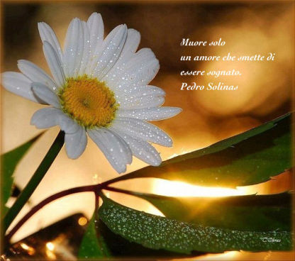 in ascolto del cuore