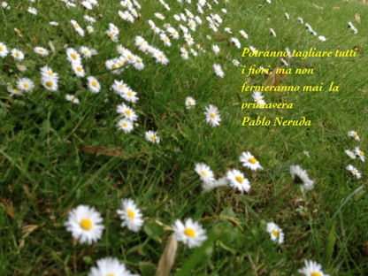 in ascolto del cuore