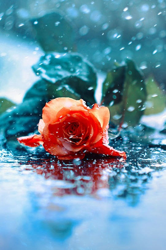 in ascolto del cuore