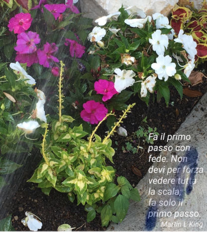 in ascolto del cuore
