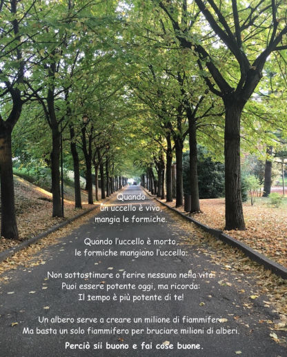 in ascolto del cuore