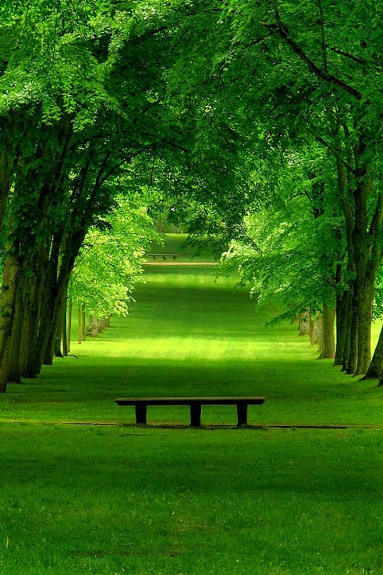 in ascolto del cuore