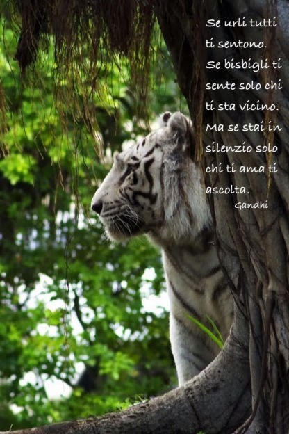in ascolto del cuore