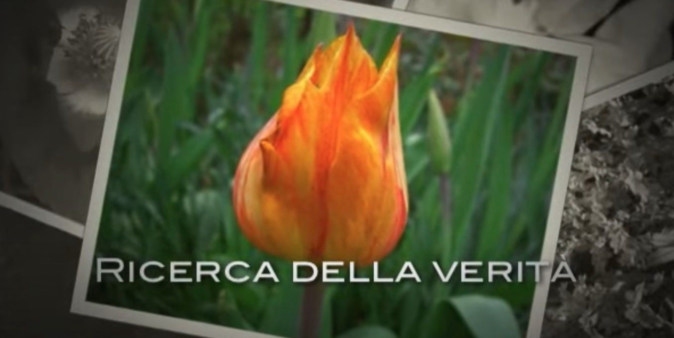 in ascolto del cuore