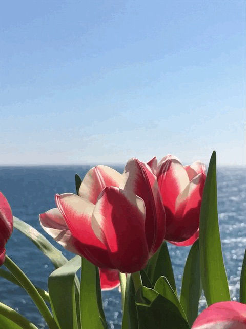 in ascolto del cuore
